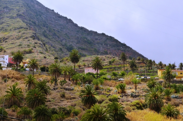 Zdjęcie z Hiszpanii - 