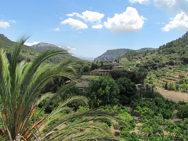 Zdjęcie z Hiszpanii - Valldemossa
