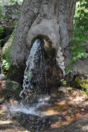 Zdjęcie z Turcji - Jaka Park