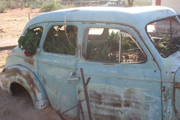 Zdjęcie z Namibii - recykling?