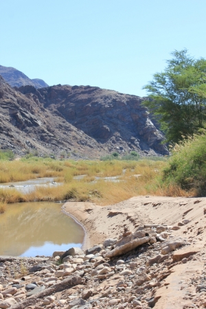 Zdjęcie z Namibii - 