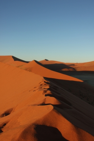 Zdjęcie z Namibii - 