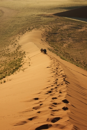 Zdjęcie z Namibii - 