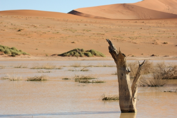 Zdjęcie z Namibii - 