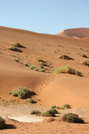 Zdjęcie z Namibii - 