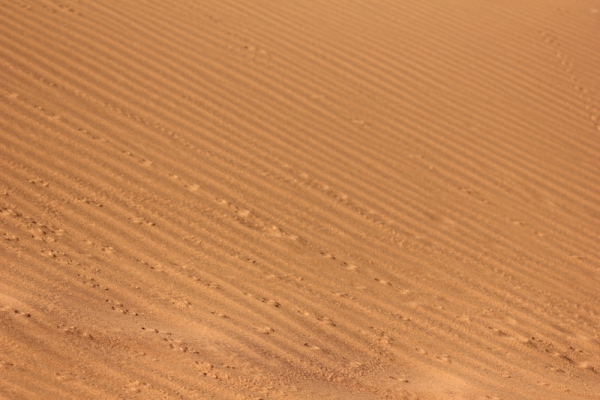 Zdjęcie z Namibii - 