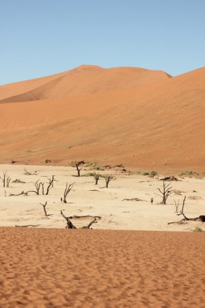 Zdjęcie z Namibii - 