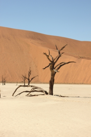 Zdjęcie z Namibii - 