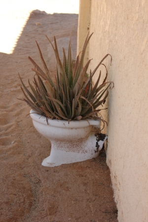 Zdjęcie z Namibii - recykling