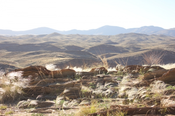 Zdjęcie z Namibii - 