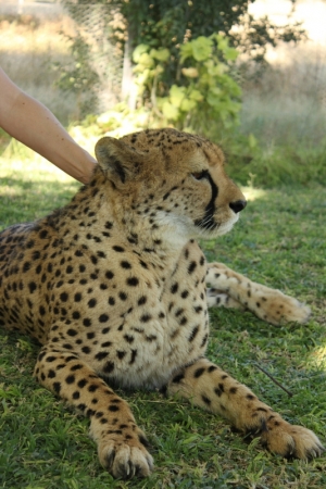 Zdjęcie z Namibii - 