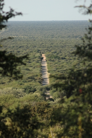 Zdjęcie z Namibii - 