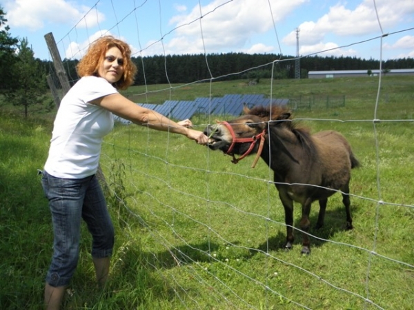 Zdjęcie z Polski - MINI ZOO