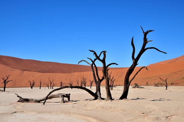 Zdjęcie z Namibii - 