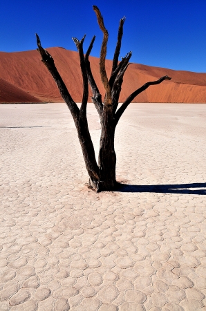 Zdjęcie z Namibii - 