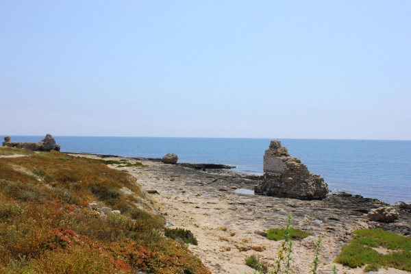 Zdjęcie z Tunezji - Ancien Port Fatimide 
