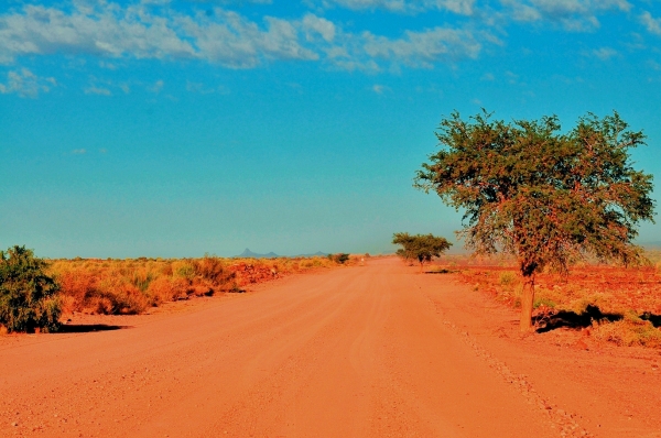 Zdjęcie z Namibii - 