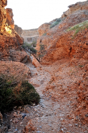 Zdjęcie z Namibii - 