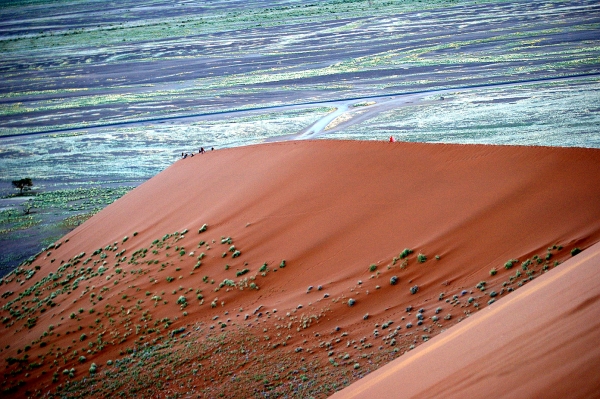 Zdjęcie z Namibii - 