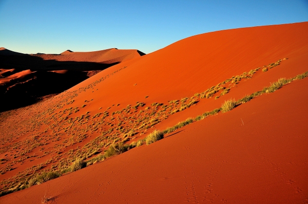 Zdjęcie z Namibii - 