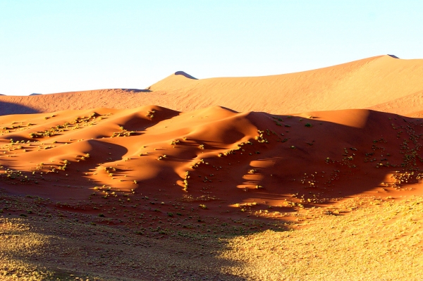 Zdjęcie z Namibii - 