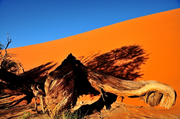 Zdjęcie z Namibii - 