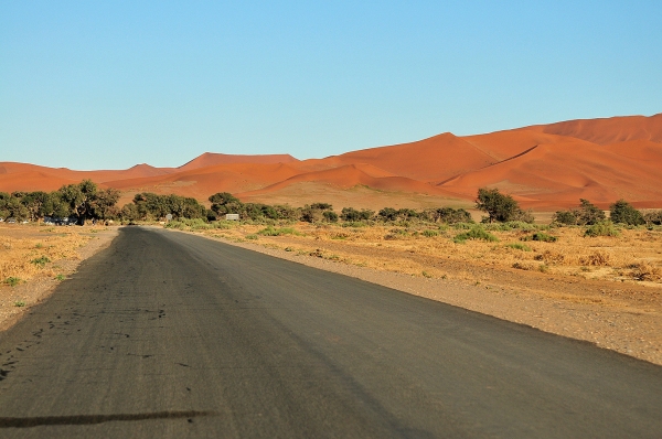 Zdjęcie z Namibii - 