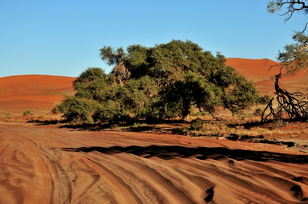 Zdjęcie z Namibii - 