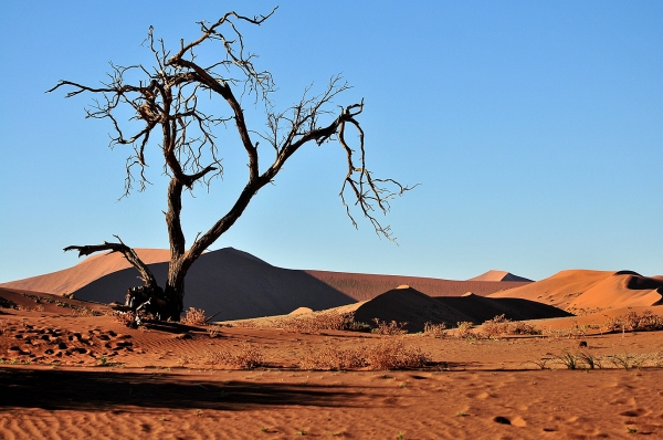 Zdjęcie z Namibii - 