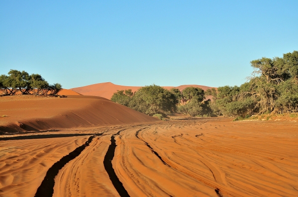 Zdjęcie z Namibii - 