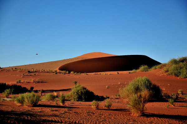 Zdjęcie z Namibii - 