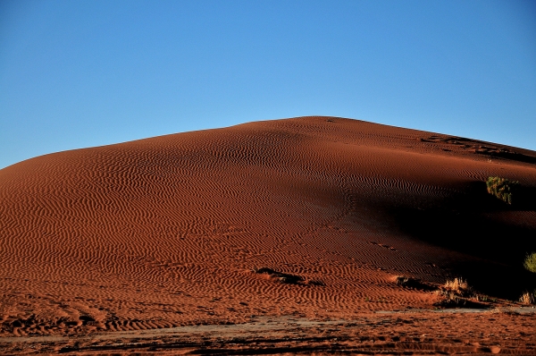 Zdjęcie z Namibii - 