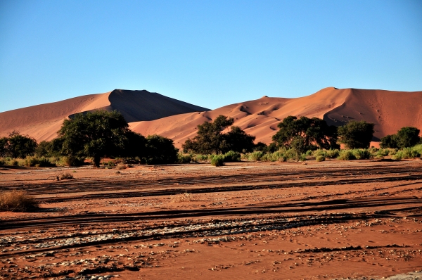 Zdjęcie z Namibii - 
