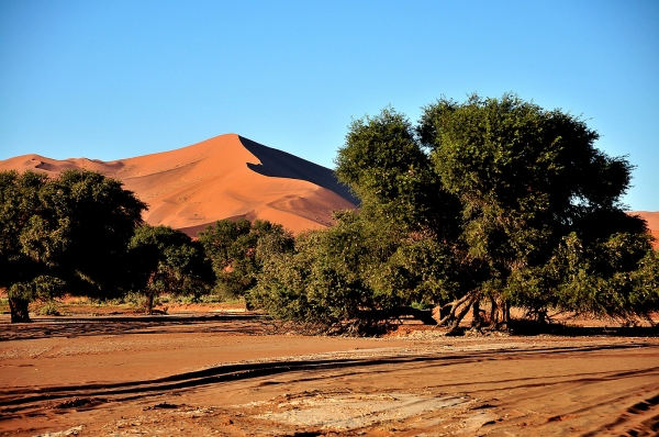 Zdjęcie z Namibii - 