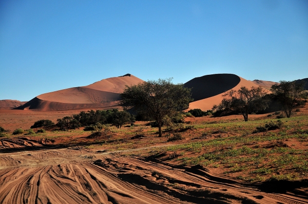 Zdjęcie z Namibii - 