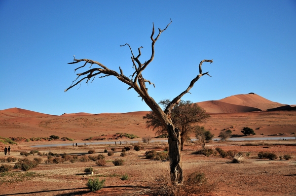 Zdjęcie z Namibii - 
