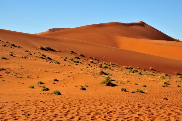 Zdjęcie z Namibii - 