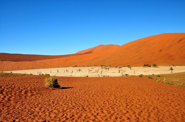 Zdjęcie z Namibii - 