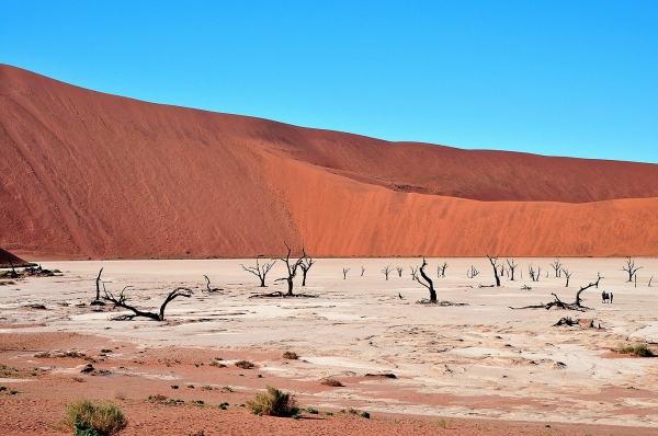 Zdjęcie z Namibii - 