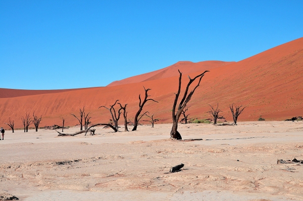 Zdjęcie z Namibii - 