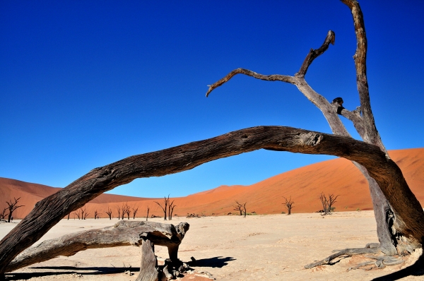 Zdjecie - Namibia - 5000 km przez Namibię
