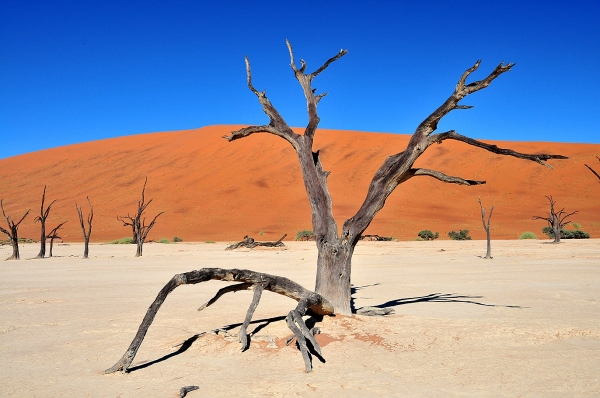 Zdjęcie z Namibii - 