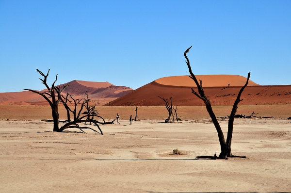 Zdjęcie z Namibii - 