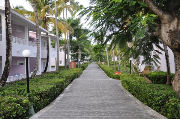 Zdjęcie z Dominikany - 