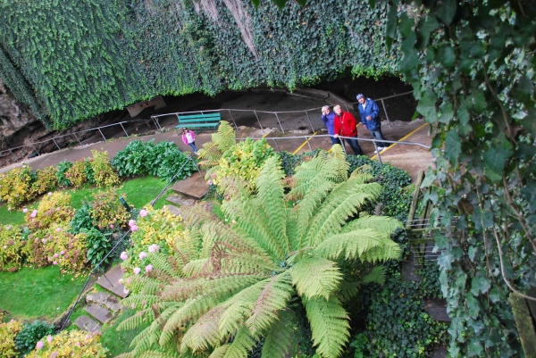 Zdjęcie z Australii - Umpherston Sinkhole 