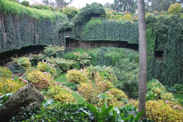 Zdjęcie z Australii - Umpherston Sinkhole 