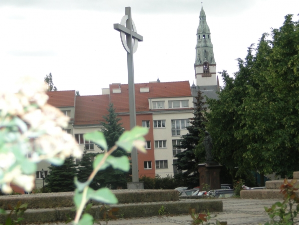 Zdjęcie z Polski - 