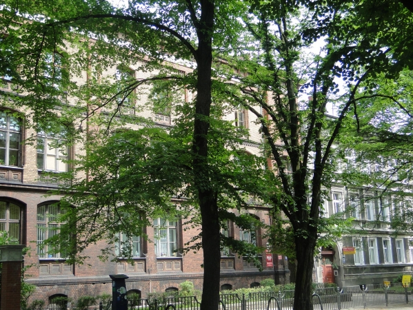 Zdjęcie z Polski - 
