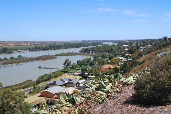 Zdjęcie z Australii - Panorama Mannum