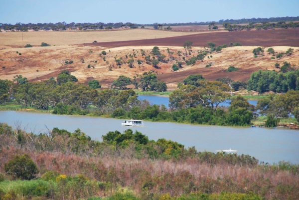 Zdjęcie z Australii - Rzeka Murray River